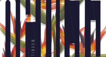 Continuum – Xpress (Remixes)