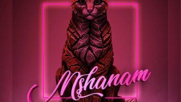 DJ Boonu - Mshanam (feat. Distruction Boyz, Madanon, Rude Boyz, Stilo Magolide & Jaiva Zimnike), new gqom music, gqom 2019, lates gqom songs, south african gqom music, gqom mp3 download