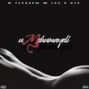 Dj Farmer SA & Mr Luu & MSK - Umshumayeli, new amapiano music, latest amapiano songs, amapiano 2019, amapiano mp3 download, new sa music, south african amapiano music