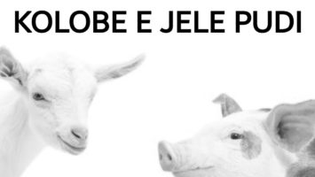 Mr Jozzers - Kolobe e Jele Pudi