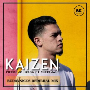 Pierre Johnson & Chris Jay - Kaizen (Buddynice Vocal Mix), latest house music, deep house tracks, house music download, club music, south african deep house, latest south african house, new sa house music, funky house, deeptech
