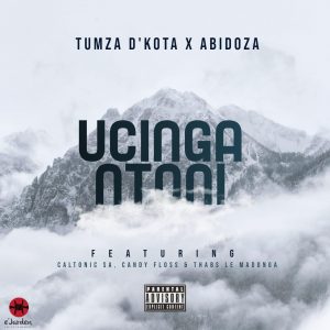 Tumza D'kota & Abidoza - Ucinga Ntoni (Ft. Caltonic SA, Candy & Thabs Le Madonga)