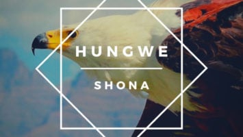 Shona (SA) feat. Zimkitha - Ndiyekele