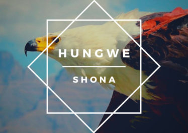 Shona (SA) feat. Zimkitha - Ndiyekele