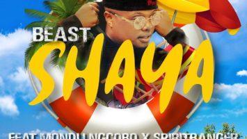 BEAST - Shaya (feat. Mondli Ngcobo & Spiritbanger), new amapiano music, latest sa music, amapiano songs, amapiano 2019, amapiano mp3 download