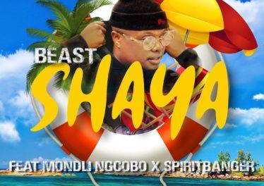 BEAST - Shaya (feat. Mondli Ngcobo & Spiritbanger), new amapiano music, latest sa music, amapiano songs, amapiano 2019, amapiano mp3 download