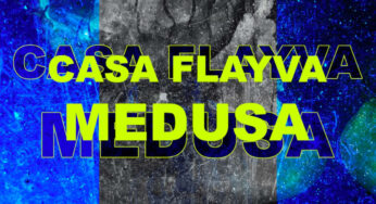 Casa Flayva – Medusa