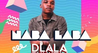 Dlala Thukzin – Naba Laba (feat. Dladla Mshunqisi & Zulu Mkhathini)