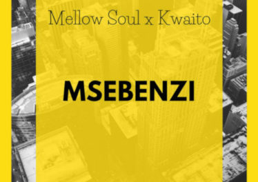 Mellow Soul & Kwaito - Msebenzi (Original Mix)