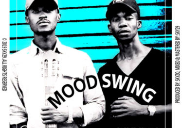 Skyzo - Mood Swing (Original Mix)
