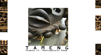 Thamza & Mahlogonolo Deep – Tameng