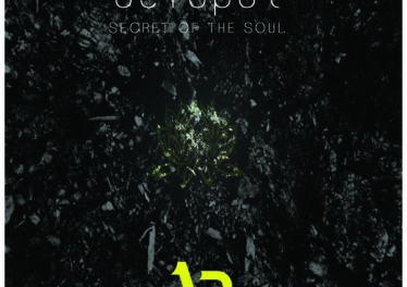 DJ Octopuz - Secret Of The Soul (Original Mix)