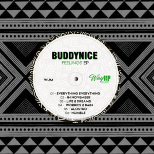 Buddynice, Lucid Deep - Alostro (Redemial Mix)