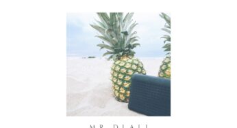 Mr Dlali Number & Veroni – Massive!