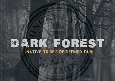 Warren Deep, Thexy LX & Jay Afro - Dark Forest (Native Tribe's Re-Defined Afro Remix)
