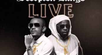 Kabza de Small & DJ Maphorisa – Scorpion Kings (Live) [Album]
