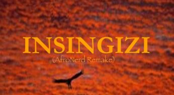 Lizwi – Insingizi (Afronerd Remake)