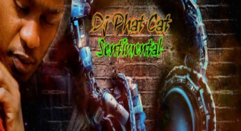 DJ Phat Cat – Sentimental