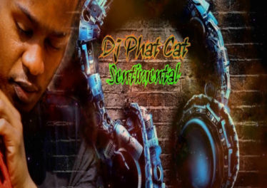 DJ Phat Cat - Sentimental