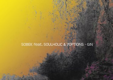 Sobek - Gin (feat. Soulholic & 7Options)