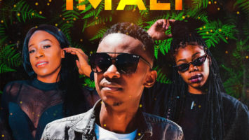Lance Jnr - Imali (feat. Amukelani & Lilly M)