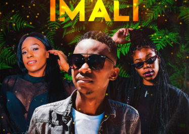 Lance Jnr - Imali (feat. Amukelani & Lilly M)