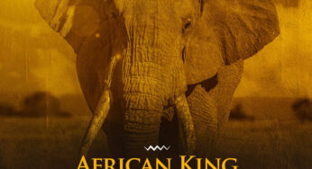 2Point1 – African King (feat. Stormrise)