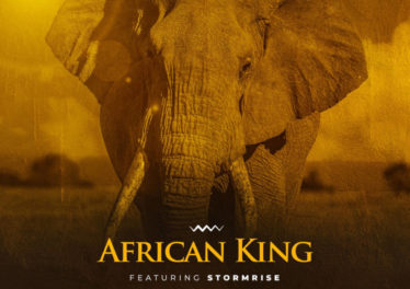 2Point1 - African King (feat. Stormrise)
