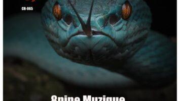 8nine Muzique - Viper