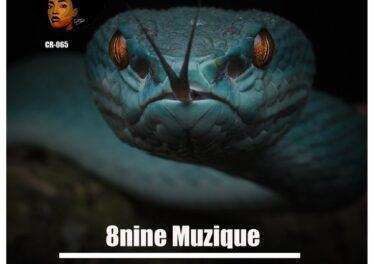 8nine Muzique - Viper