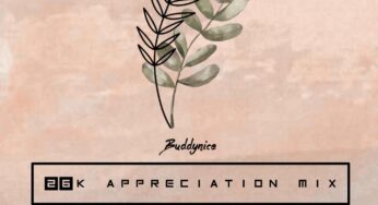 Buddynice – 26K Appreciation Mix (Redemial Sounds)
