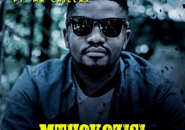DJ Palture - Mthokozisi (feat. Mr. Chillax)