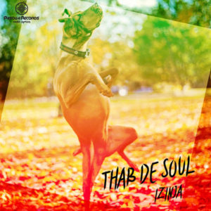 Thab De Soul - Izinja (Original Mix)