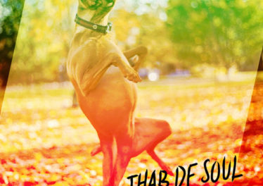 Thab De Soul - Izinja (Original Mix)