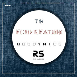 Buddynice - The World Is Watching (Redemial Mix)