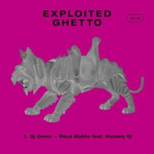 DJ Qness - Moyà Wakho (feat. Museeq IQ)