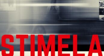 Lizwi feat. Candy Man – Stimela (Parcel Remix)
