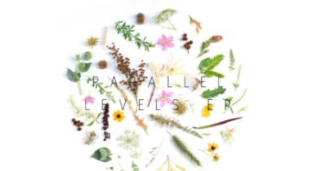 Tea White – Parallel Levels EP