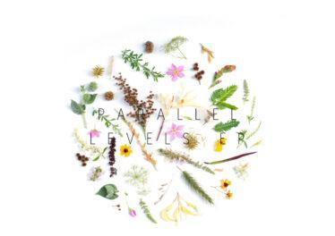 Tea White - Parallel Levels EP