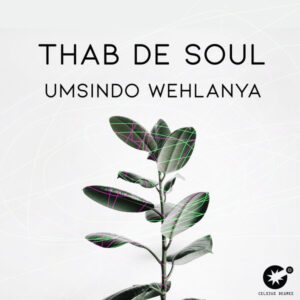 Thab De Soul - Umsindo Wehlanya