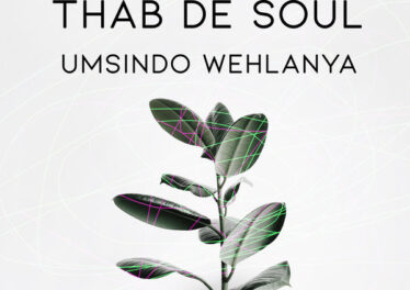 Thab De Soul - Umsindo Wehlanya