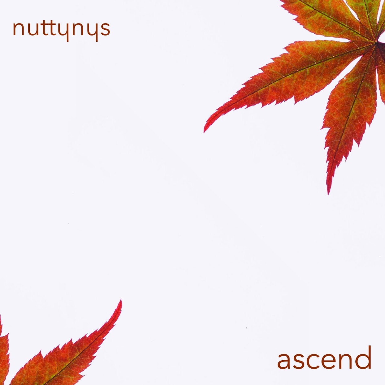 Nutty Nys Ascend Download Mp3 nutty nys ascend download mp3