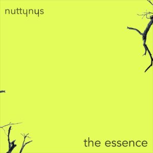 Nutty Nys - The Essence