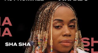 Kabza De Small – Why Ngikufela (feat. Sha Sha & DJ Maphorisa)