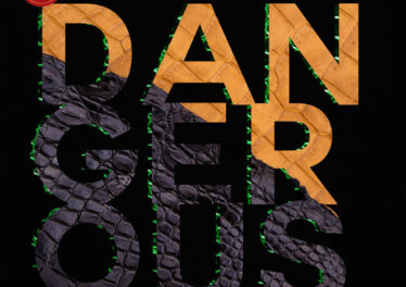 P. M Project & Sandy Spady - Dangerous (Aimo & Luyo Remix)