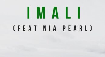 Thabzin SA, Tyler ICU & Major League – Imali (feat. Nia Pearl)