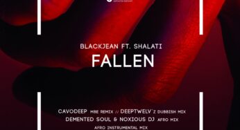 BlackJean, Shalati – Fallen (Demented Soul & Noxious DJ Afro Mix)