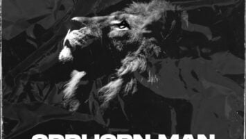 Vida Soul - Oddhorn Man