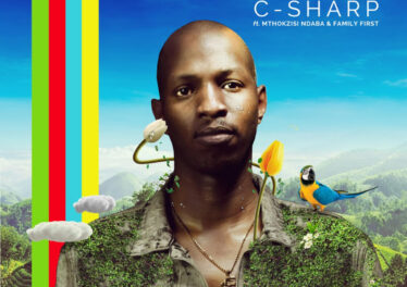 C-Sharp, Mthokozisi Ndaba, Family First - Rainbow (Original Mix)