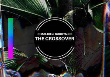 D-Malice & Buddynice - The Crossover (Original Mix)